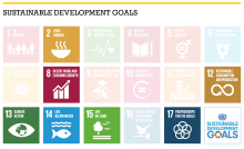 Kernthema's, doelstellingen en SDG's